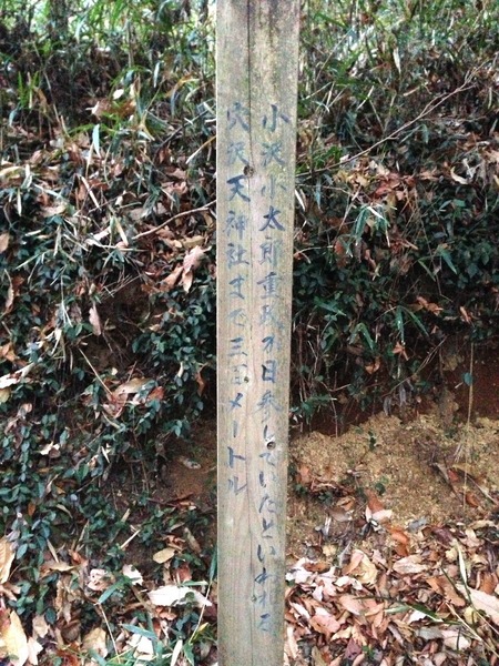 【小沢城】「小沢小太郎重政が日参した穴澤神社まで300m」という意味のことが書いてある。小沢城には何度も来ているが、この標柱は気づかなかった。