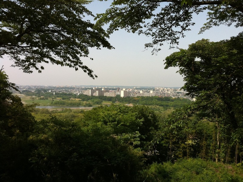 【滝山城】本丸手前の中の丸から北西を撮影。中央の川は多摩川。