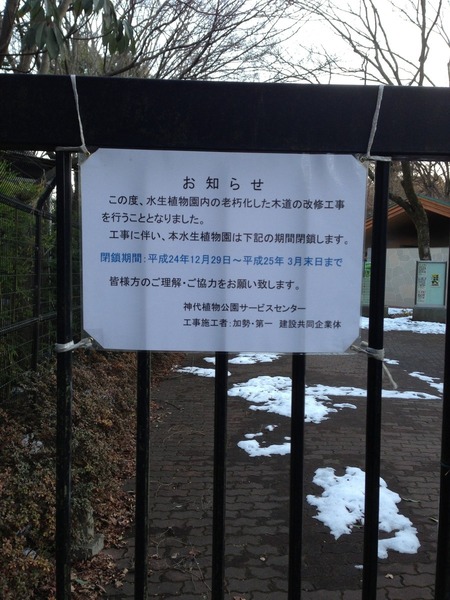 【深大寺城】な、なんと。。まさかの閉鎖中。