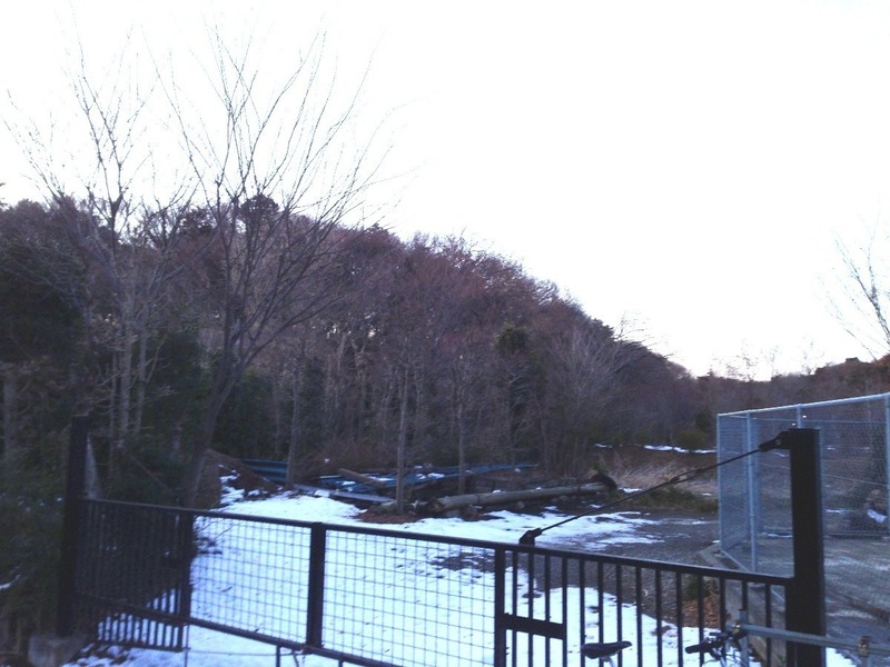 【深大寺城】南東から撮影。右手の水生植物園は当時、沼だった。