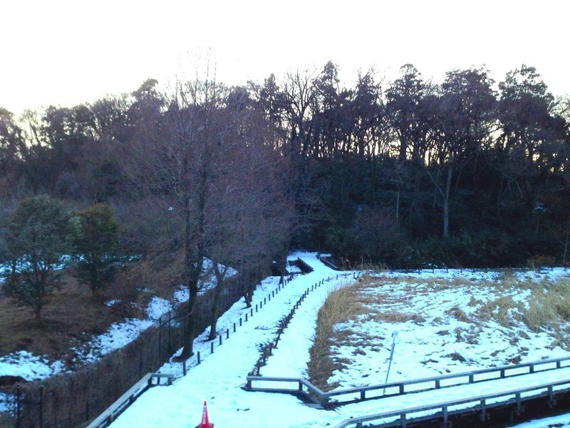 【深大寺城】東から一の曲輪を撮影。手前の雪エリアが水生植物園。