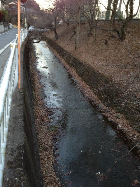 【初沢城】西側を流れる初沢川。