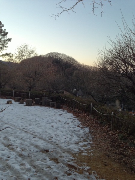 【初沢城】高尾天神社から八王子城方面を撮影。八王子城は北西4、5kmにある。山々に遮られて見えないが。