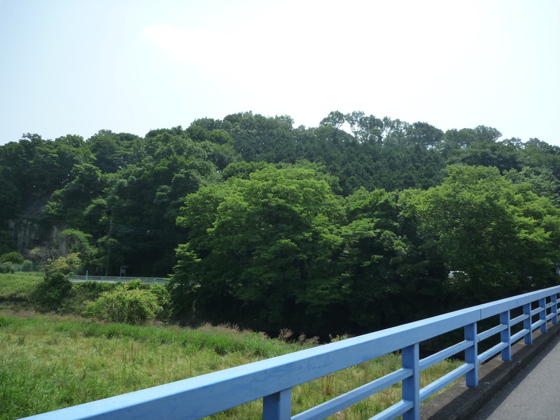 【松山城】西側からの遠景。中央の森が松山城で、手前に市野川が北（左）から南（右）へ流れている。