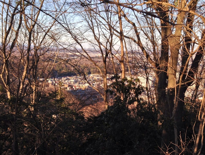 【廿里砦】初沢城の山頂から廿里砦を遠望。市街地の上(北側)の森が廿里砦。中央の市街地が高尾で、中央やや右が高尾駅。