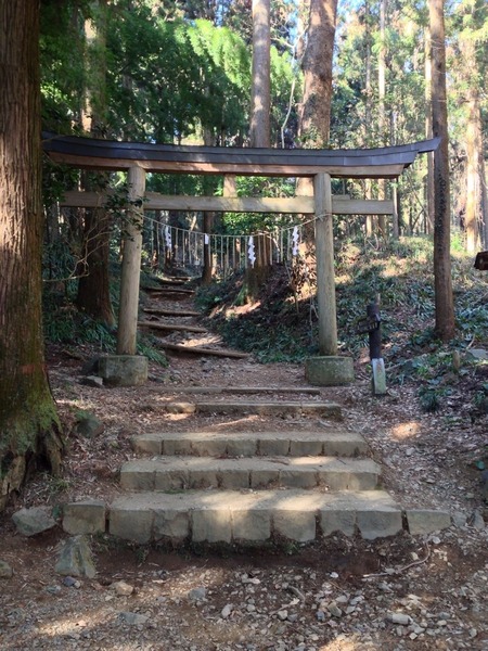 【八王子城】古道入口。山下曲輪、管理棟を抜け、古道入り口へ。<br>この門の左側に早くも石垣があった。<br><br>この時、10時半。