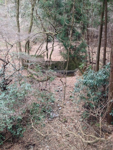 【八王子城】水が涸れている城山川。