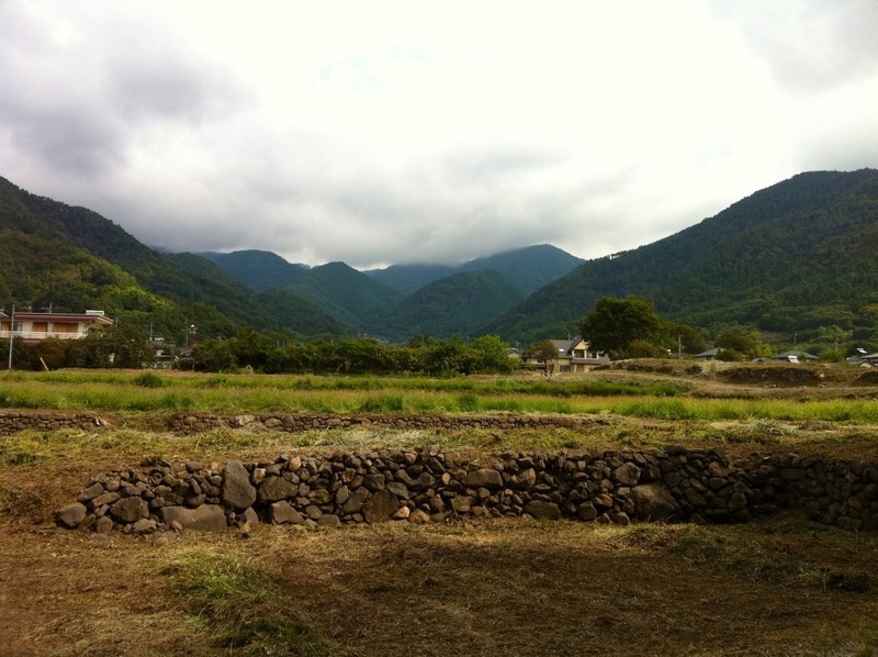 【躑躅ヶ崎館】躑躅ヶ崎館から要害山城を遠望。中央やや右の濃い緑の山がおそらく要害山城。