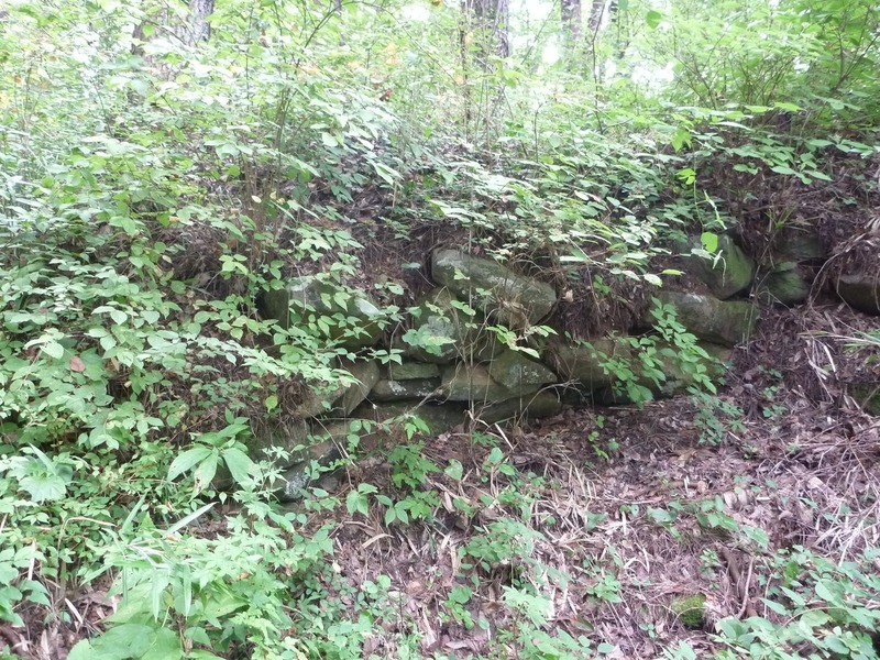 【要害山城】苔生した石垣。曲輪には随所で石垣が用いられている。