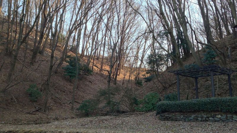 【片倉城】二の丸と推定外郭を北側で分ける谷。実質、巨大な空堀の役目を果たしている。