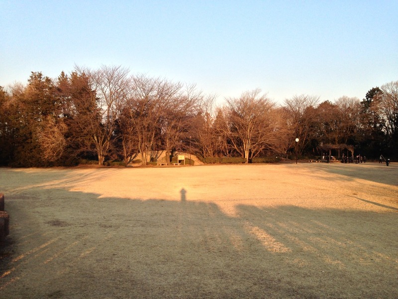 【片倉城】手前が二の丸で、中央の盛り上がっている土塁から本丸。
