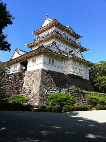 小田原城本丸の天守閣。<br><br>北条早雲時代の小田原城主郭は小田原城本丸の北側の八幡山古郭と言われている。八幡山古郭の方が本丸よりも標高が高いので、八幡山古郭から見ると、本丸を見下ろす形となる。