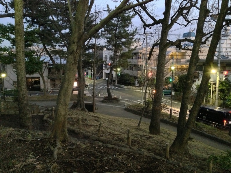 【世田谷城】南東高台の曲輪から南東方向の交差点を撮影。
