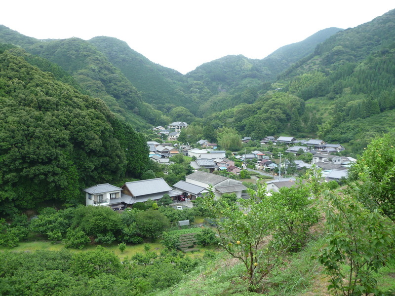 【丸子城】北曲輪辺りから北東方面に丸子谷を撮影。今川氏親の幼名は龍王丸といい、父の今川義忠亡き後は今川家の家督を相続できず、この丸子谷に隠れ住んでいた。<br>龍王丸の母は北条早雲の姉だったため、早雲は龍王丸を担いで、今川家の当主に据えた。そのため、早雲は今川家に大きな地盤を得ることになった。<br><br>鬱屈した氏親の青春時代などを想像しつつ、曇天の丸子谷を眺めていた。