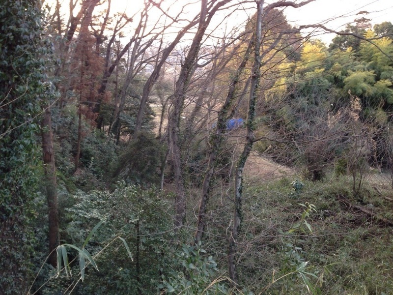 【松山城】曲輪四から惣曲輪を撮影。惣曲輪は畑になっているようだ。