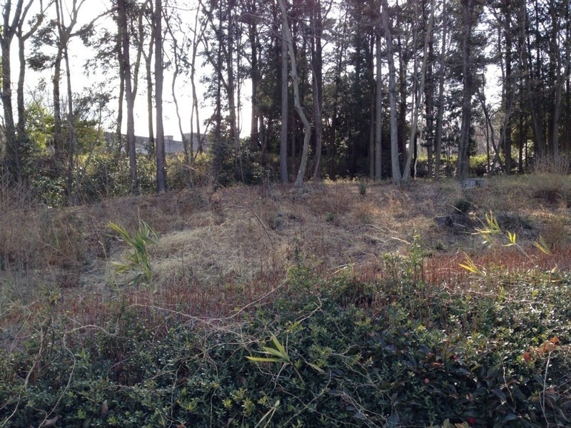 【菅谷館】三の郭の二重土塁。手前のが一つ目で奥にもう一つ更に高い土塁がある。