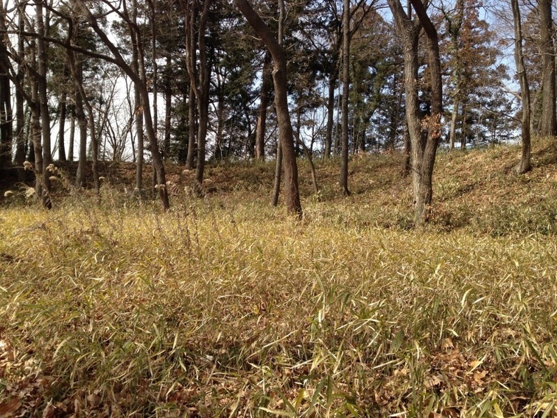 【菅谷館】西の郭北側の土塁。惜しげもなく、大規模。