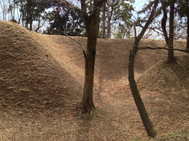 【菅谷館】本曲輪北側の堀と土塁。菅谷館、恐るべし。