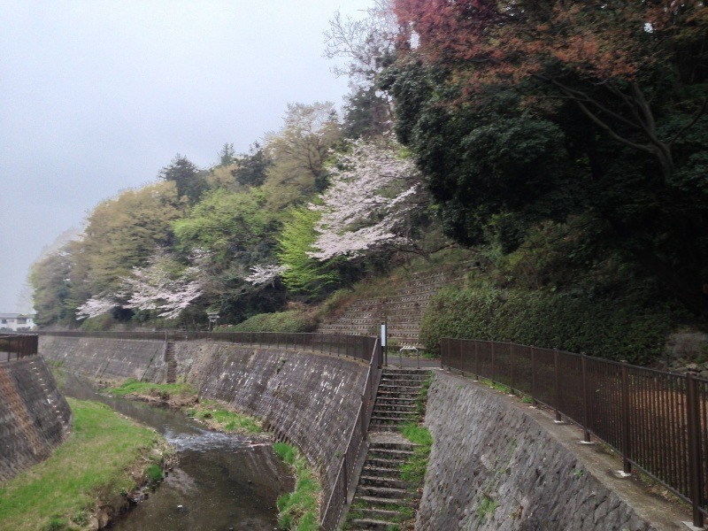 【小沢城】右手が小沢城。北岸を三沢川が洗っていたはず。