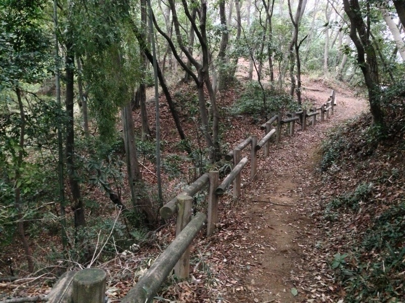 【小沢城】空堀跡。