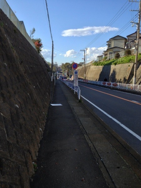 【新井城】216号に入ると、谷がある。