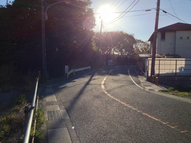 【新井城】内の引橋。