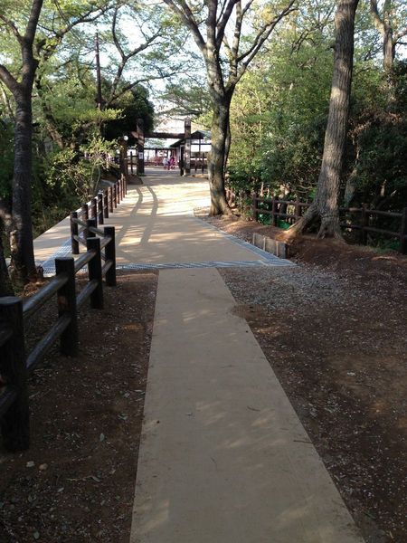 【枡形山城】北東の本郭方面を撮影。途中に舗装されている所が堀切だった模様。縄張り図 https://shirophoto.jp/photos/572 の本郭から左下に堀切があるが、この堀切が写真中央部の舗装部分。逆説的に、そこが堀切だったと物語っているようでもある。