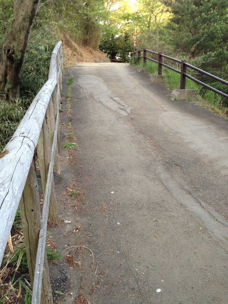 【枡形山城】手前の舗装部分が堀切だったようだ。このまま進むと、帯曲輪。側面を見ると、確かにコンクリートで嵩上げしてあった。縄張り図、参照 https://shirophoto.jp/photos/572