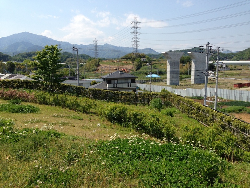 【丸山城】右側に手すりの折れがあるが、そこに虎口があったらしい。左側の高い山が大山。