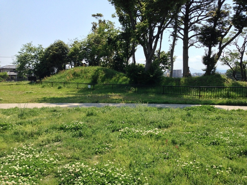 【丸山城】南西に残る土塁。一旦、西側に折れ、北側の土塁とつながっていたようだ。
