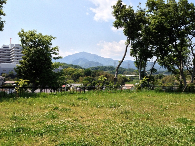 【丸山城】本曲輪から見る大山。左側に見えるのは東海大学で、同じくらいの高台に建っている。東海大学附属病院にも横矢掛りが見つかっているそうだ。つまり、東海大学の辺りにも何かあったんでしょうね。