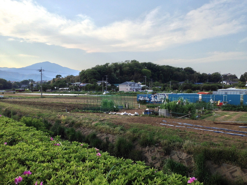 【岡崎城】左が大山、右手の丘陵が岡崎城で、右から南郭、中郭、北郭、無量寺郭が並ぶ。