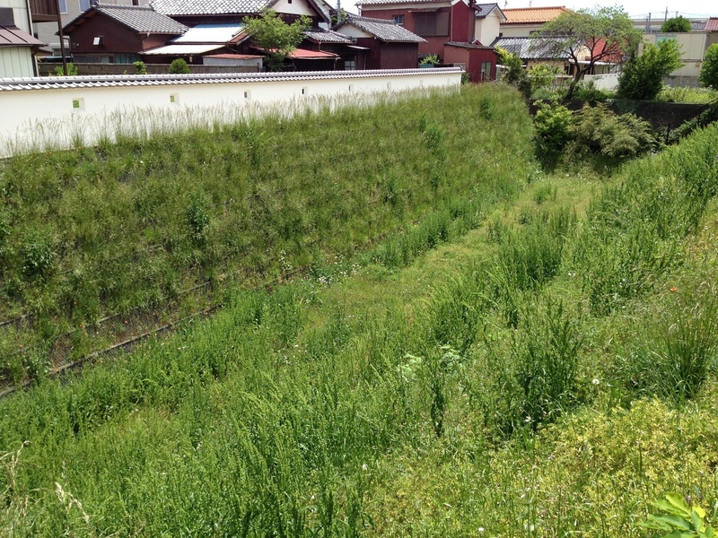 【川越城】中門堀跡。西大手門を経て、東に進むと、中ノ門に至る。中ノ門の南東に中門堀があった。中ノ門をくぐると、中曲輪に至る。
