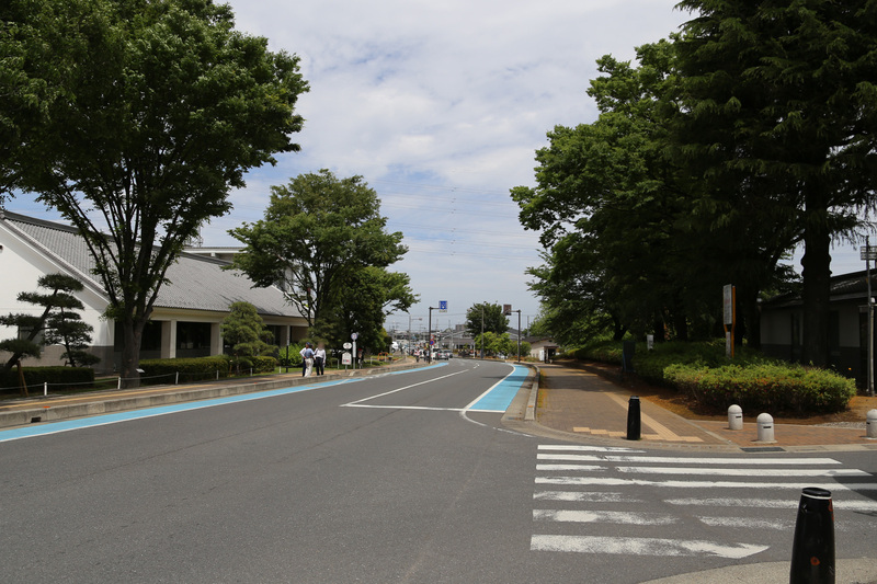 【川越城】左（北）が二ノ丸があった川越市立博物館、右（南）が本丸。このまま東に進むと、台地が尽きて、低地になる。河越合戦の際、古河公方の足利晴氏は河越城の東に陣取っていた。