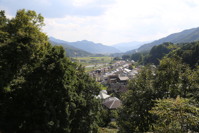 【竹田城】竹田城迂回路の山道から南向きに撮影した。<br><br>      自動車やバスの出口から入ったので、前から続々と車がやってきた。バスの中を注視すると、立っている人が複数人いた。