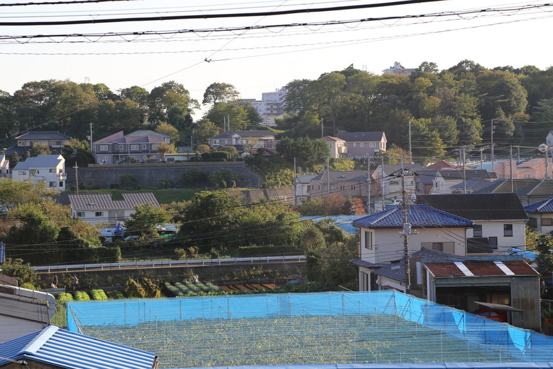 【大塚遺跡】大塚遺跡の南側から早淵川の対岸にある茅ヶ崎城を撮影。<br>      中央上部に土塁っぽいのがあるのだが、そこが茅ヶ崎城の中郭。