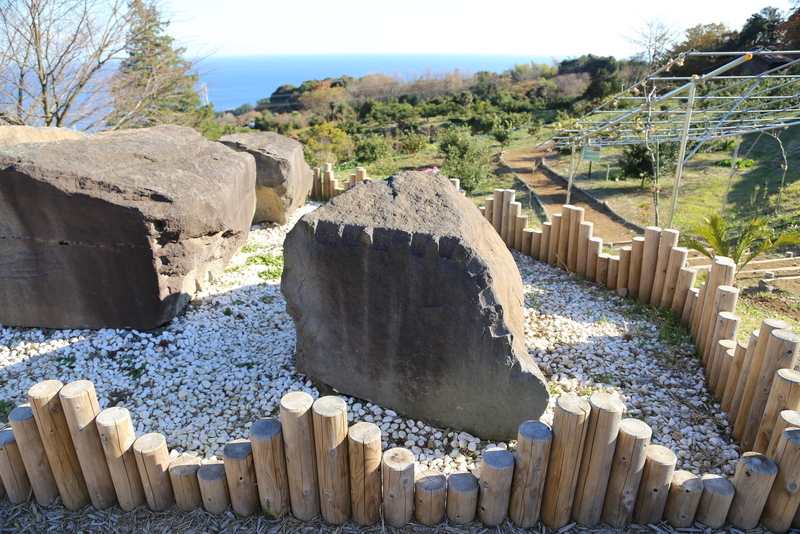 【石垣山一夜城】石垣山一夜城の近くに、江戸城築城時（17世紀前半）に使用された石切り場がある（早川石丁場群関白沢支群）が、その一部が石垣山一夜城の南側の駐車場に置いてある。<br><br>      石を割るには、「矢穴」というクサビを打ち込むが、その跡が明確に見て取れる。<br><br>      昨年も石垣山一夜城を訪問したが、その時は箱根湯本の早雲寺方面から早川を渡って、一夜城に登った。その経路には、関東では珍しい巨石がゴロゴロしており、また、何らかの理由で放置された石垣が道路脇にあったりした。<br><br>      ・早川石丁場群に関するPDF<br>      http://kaf.or.jp/wordpress/wp-content/uploads/2012/02/zurokulight.pdf