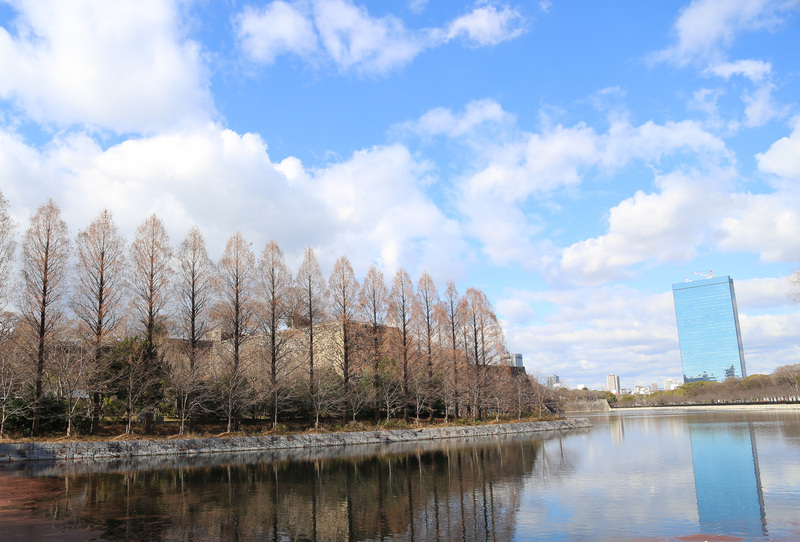 【大阪城】大坂城の空は思ったよりも広かった。<br><br>      手前が東外堀で、中央の木々に隠された石垣が巽櫓跡。