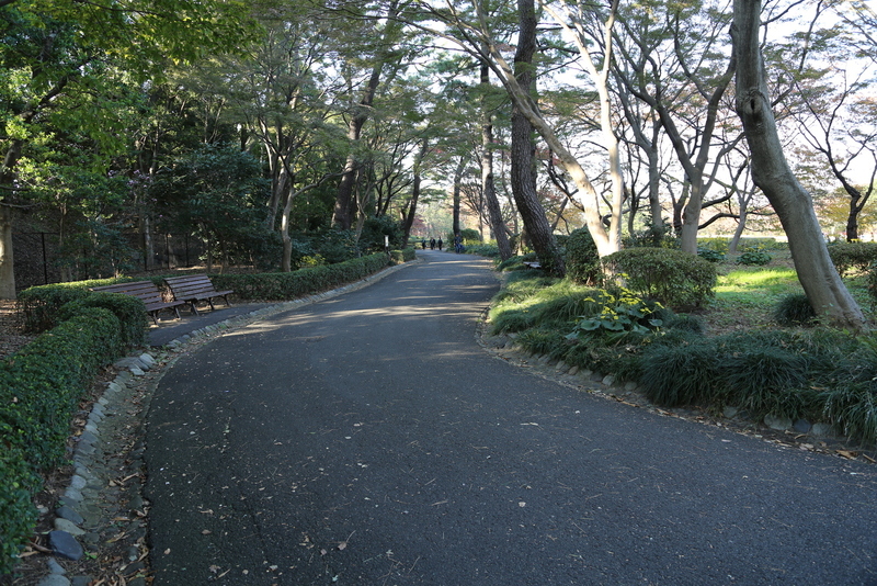 【江戸城】この辺に、松の廊下があった。<br>      松の廊下は、忠臣蔵で有名な刃傷沙汰の現場。<br>      中央やや左に、松の廊下の案内板と石碑がある。