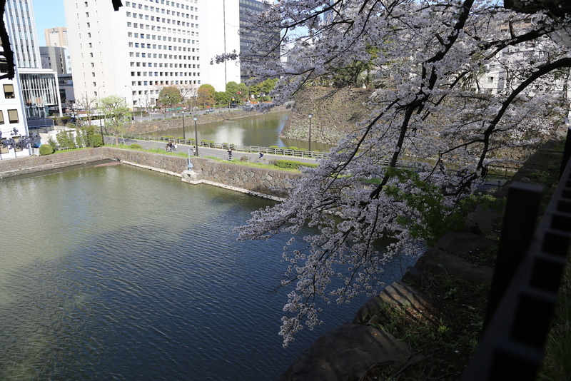 【江戸城】清水門櫓門の広い雁木を登ると、土橋がよく見える。<br>      つまり、ここから寄せ手を狙える。高低差もあり、かなり強力。