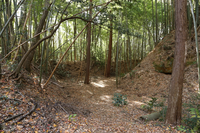 【滝山城】滝山城大手の小峰曲輪です。<br><br>滝山城は、北条氏康の息子、北条氏照の居城でした。1869年、武田信玄は大群を率いて、関東に侵攻し、北条氏照が守る滝山城を包囲しました。<br><br>ここ小峰曲輪も激戦の末、武田勢に落とされ、二の曲輪まで後退した北条勢でしたが、何とか持ちこたえました。400年ほど前、ここは硝煙・絶叫、血と汗の修羅場だったかもしれません。<br>今は竹の葉が揺れ、擦れ合う音が聞こえる閑静な場所です。<br><br>武田優勢にも関わらず、信玄は滝山城包囲を解き、小田原城に向かったのでした。