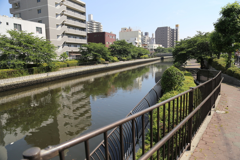 【堺】堺の土居川。<br>名前の通り、かつて堺の西側の堀だった。<br><br>堺のHP http://www.city.sakai.lg.jp/kurashi/doro/doboku/kasensuiro/suikankyo/watashitachikawa.html にあるように、きれいとは言えない水質だった。<br><br>が、かつては千利休や今井宗久などの茶人や豊臣秀吉・小西行長などの武将もこの辺を通ったのではないか。そういえば、「軍師官兵衛」にも堺が少し出てきていましたね。<br><br>なお、上記HPによると、豊臣秀吉が堀を埋め、徳川期に再度、堀が掘られたが、以前よりも外側に掘られたとのこと。