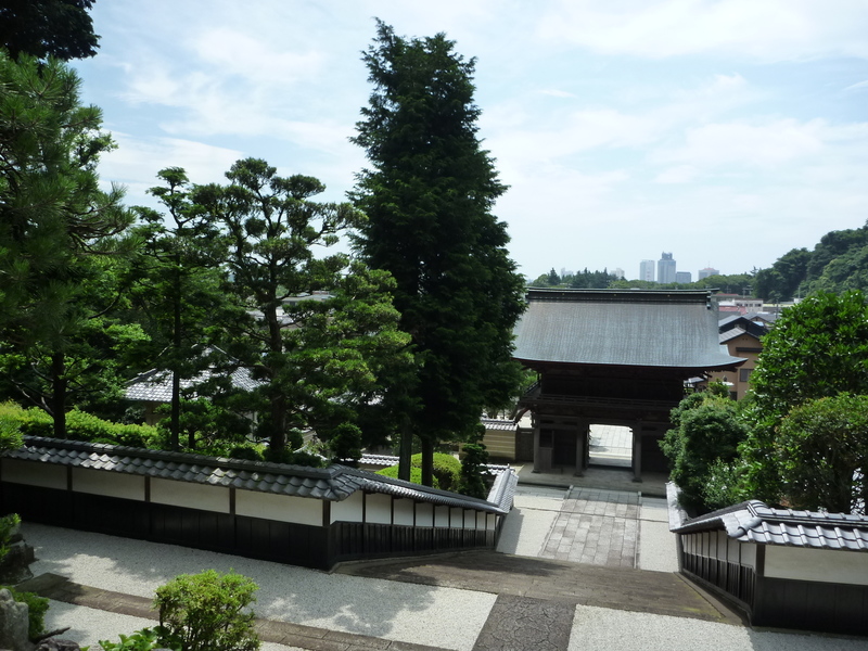 臨済寺から静岡市街地への眺め