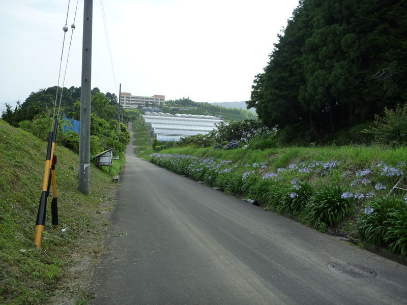 <p>さった峠西側から南西方向を撮影。</p>