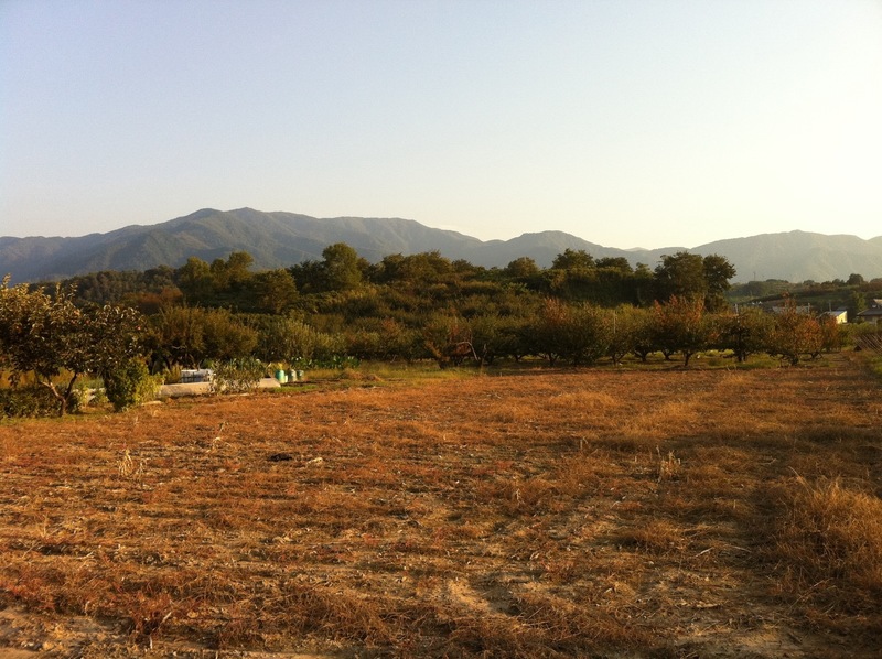 <p>曽根の勝山城、北側からの遠景。</p>