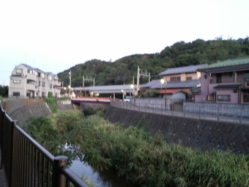 【小沢城】小沢城、遠景。手前は三沢川。何度も行っているので、もはや裏庭感覚になってきた小沢城。