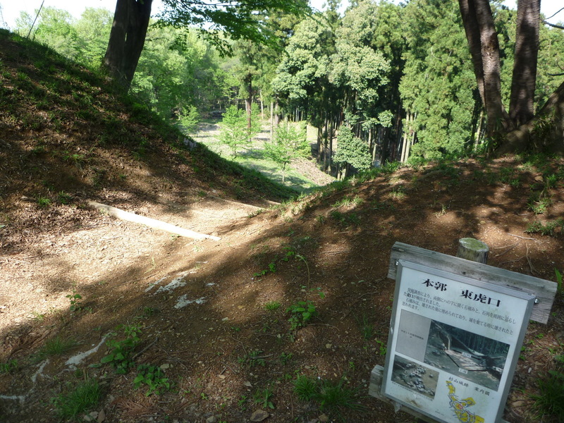<p>杉山城の本丸東虎口。土塁が出入り口が狭くなっているのが分かる。<br>廃城になるときに、虎口の石積みが崩されたそうだ。</p>