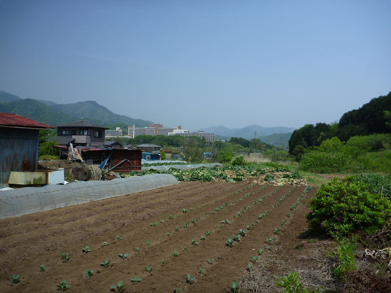 【実蒔原古戦場から七沢城を遠望】<p>実蒔原合戦の前、上杉顕定勢は、上杉定正勢が追ってくるまで、七沢城（要害）を攻めていた。</p>
<p>写真の中央が神奈川リハビリテーション病院で、七沢城の中核部分と言われている。写真から分かるように、実蒔原古戦場から七沢城を目視できる位置にある（直線距離で1km程度の距離）。</p>