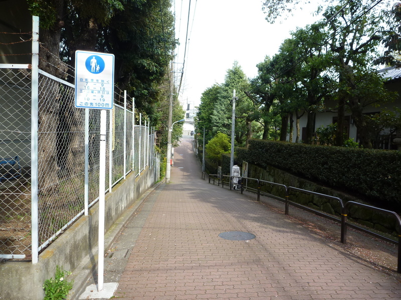 <p>この窪みは練馬城の大空堀跡と言われている</p>