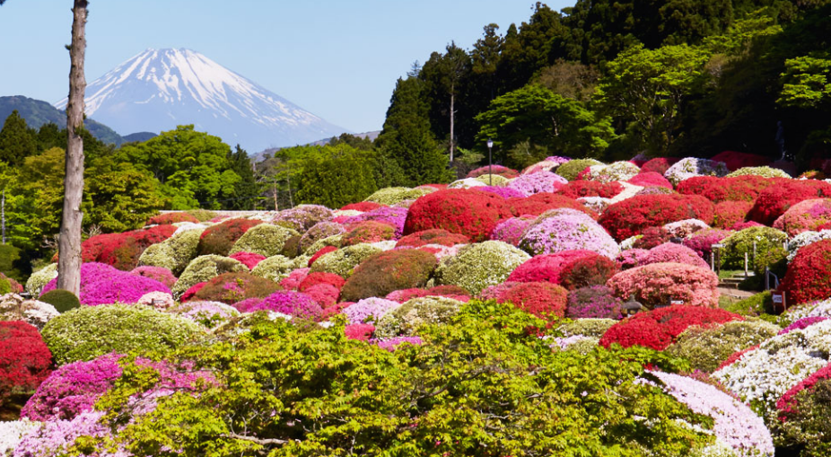偶像日本_世界一難しい恋_ロケ地